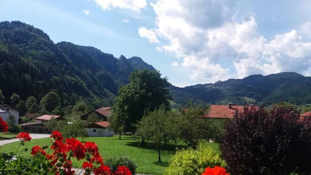 Haus Wiesenblick Oberwössen 外观 照片